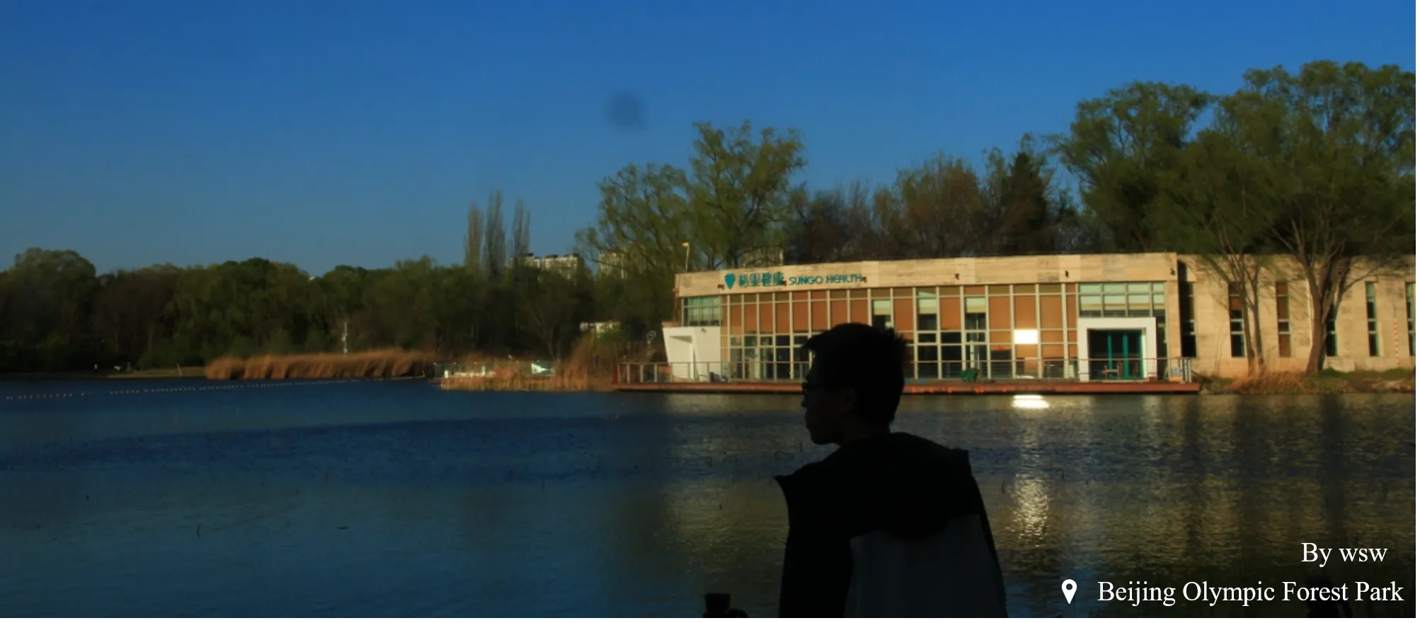 Prominent Home Page Image